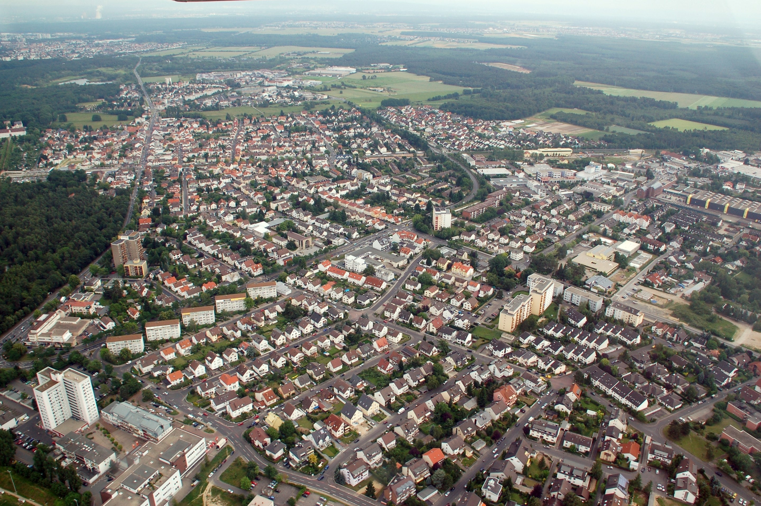 Section Image