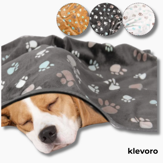 CozyPaws