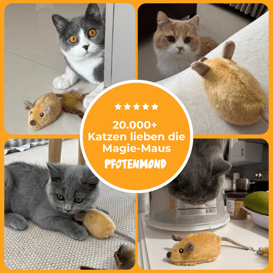 Magie-Maus - Spielspaß, der deine Katze verzauber