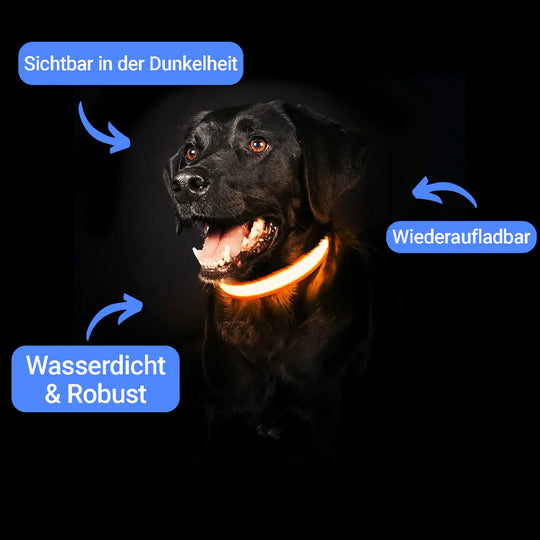 𝐆𝐥𝐨𝐰𝐏𝐚𝐰𝐬 - 𝐅ü𝐫 𝐬𝐢𝐜𝐡𝐞𝐫𝐞 𝐧ä𝐜𝐡𝐭𝐥𝐢𝐜𝐡𝐞 𝐀𝐛𝐞𝐧𝐭𝐞𝐮𝐞𝐫