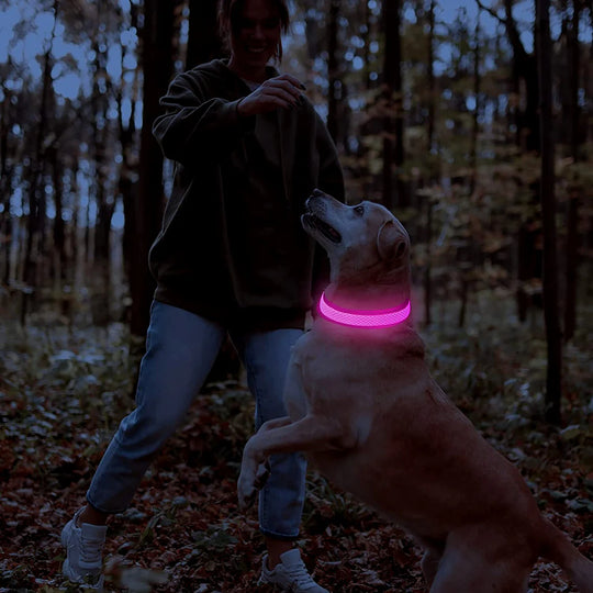 𝐆𝐥𝐨𝐰𝐏𝐚𝐰𝐬 - 𝐅ü𝐫 𝐬𝐢𝐜𝐡𝐞𝐫𝐞 𝐧ä𝐜𝐡𝐭𝐥𝐢𝐜𝐡𝐞 𝐀𝐛𝐞𝐧𝐭𝐞𝐮𝐞𝐫