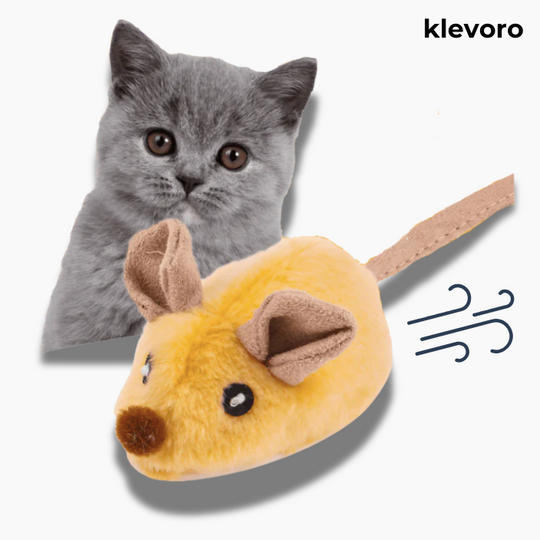 Magie-Maus - Spielspaß, der deine Katze verzauber