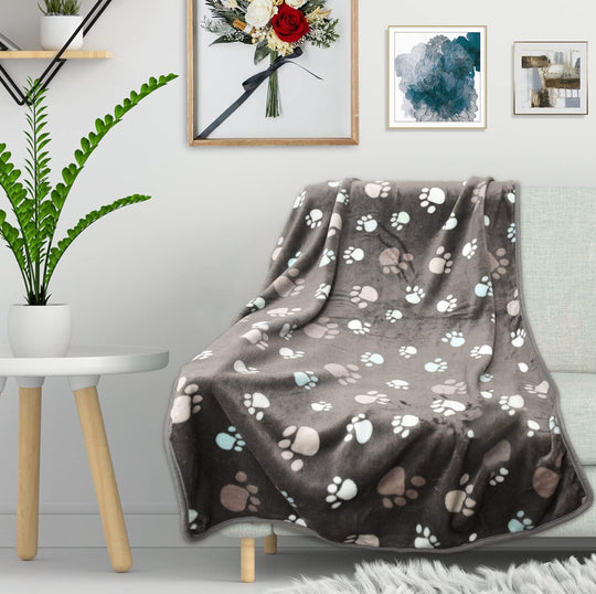 CozyPaws