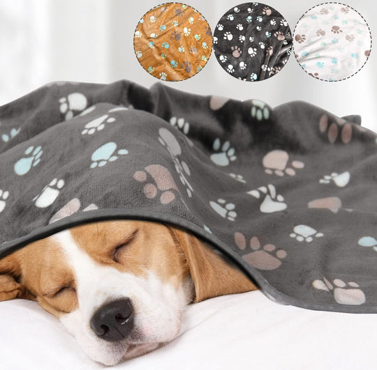 CozyPaws