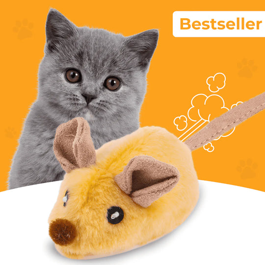 Magie-Maus - Spielspaß, der deine Katze verzauber
