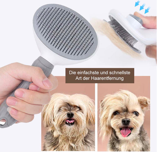 𝐏𝐚𝐰𝐋𝐨𝐨𝐦 -  𝐒𝐞𝐥𝐛𝐬𝐭𝐫𝐞𝐢𝐧𝐢𝐠𝐞𝐧𝐝𝐞 𝐅𝐞𝐥𝐥𝐩𝐟𝐥𝐞𝐠𝐞𝐛ü𝐫𝐬𝐭𝐞