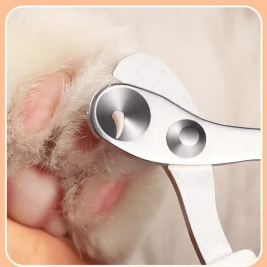 PawTrim