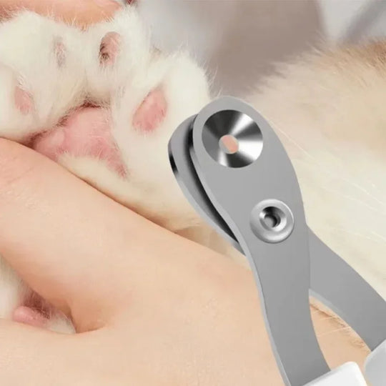 PawTrim