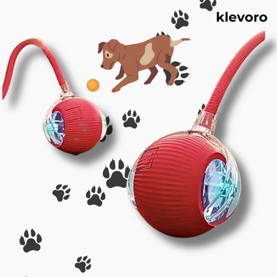 PawMotion